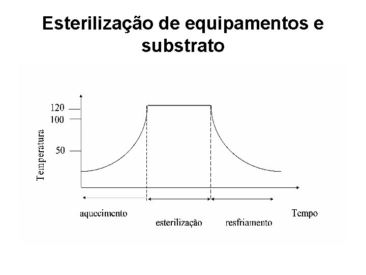 Esterilização de equipamentos e substrato 