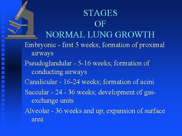 STAGES OF NORMAL LUNG GROWTH Embryonic - first 5 weeks; formation of proximal airways
