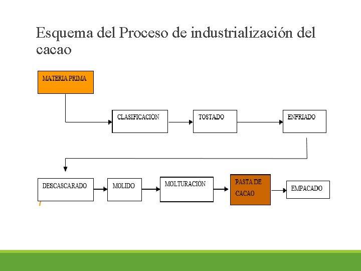 Esquema del Proceso de industrialización del cacao 