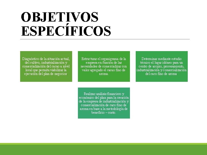 OBJETIVOS ESPECÍFICOS Diagnóstico de la situación actual, del cultivo, industrialización y comercialización del cacao