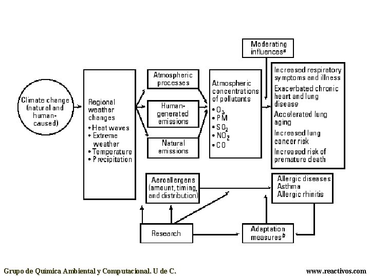 Grupo de Química Ambiental y Computacional. U de C. www. reactivos. com 