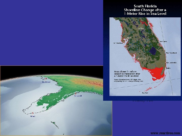 Florida +5 meter, very likely unavoidable. Expected sea level increase 21 st Century: +