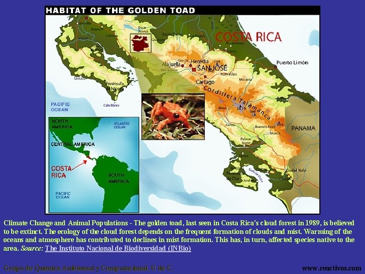 Climate Change and Animal Populations - The golden toad, last seen in Costa Rica’s