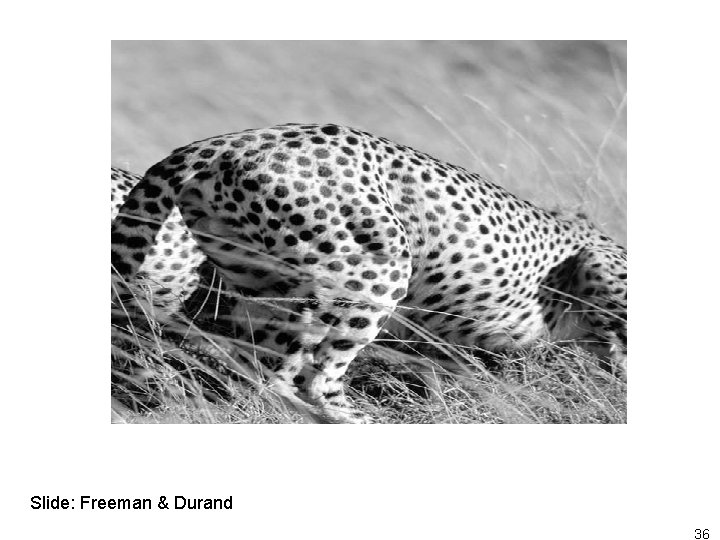 Slide: Freeman & Durand 36 