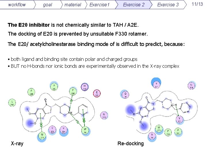 workflow goal material Exercise 1 Exercise 2 Exercise 3 The E 20 inhibitor is