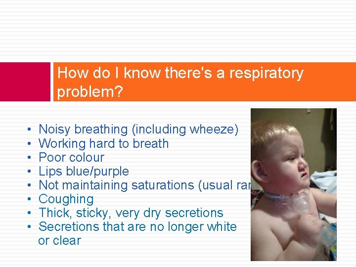 How do I know there's a respiratory problem? • Noisy breathing (including wheeze) •
