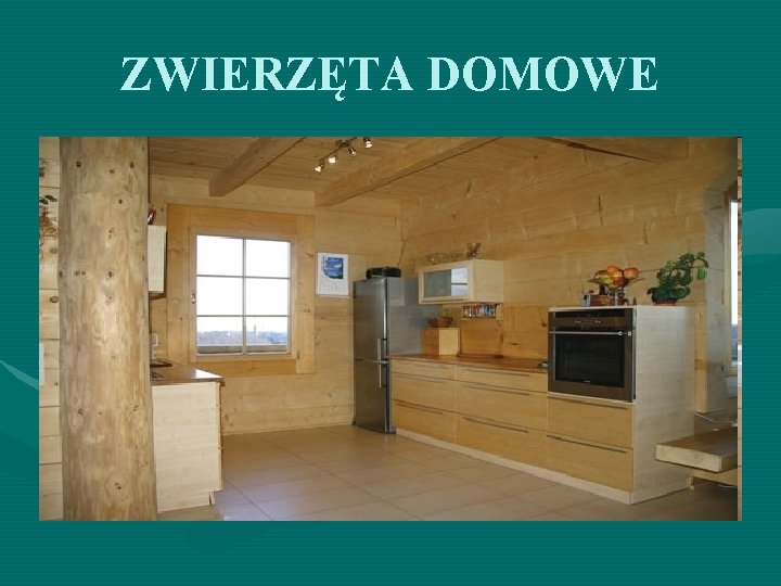 ZWIERZĘTA DOMOWE 