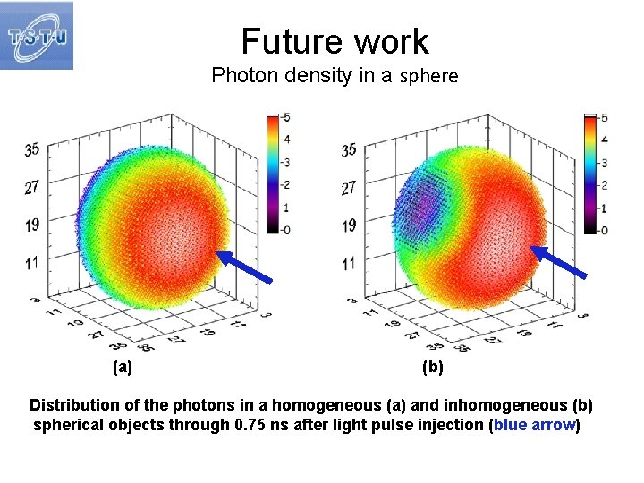 Future work Photon density in a sphere (a) (b) Distribution of the photons in