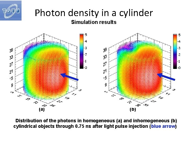 Photon density in a cylinder Simulation results (a) (b) Distribution of the photons in