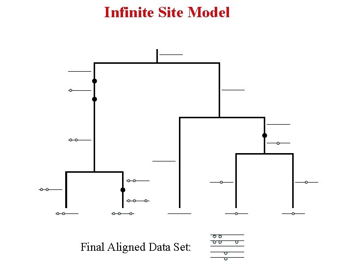 Infinite Site Model Final Aligned Data Set: 