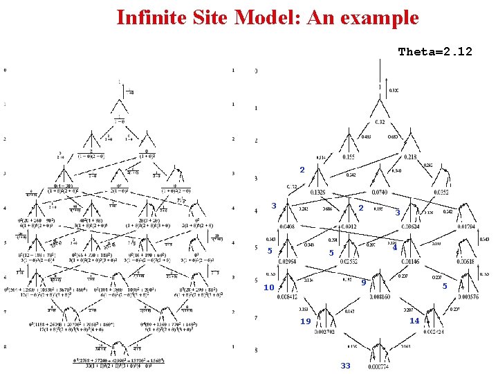 Infinite Site Model: An example Theta=2. 12 2 3 2 5 3 4 5