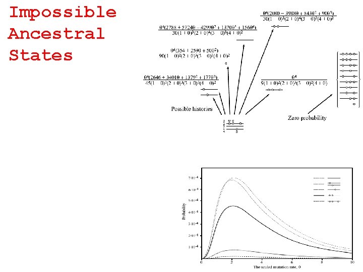 Impossible Ancestral States 