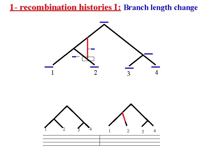 1 - recombination histories I: Branch length change 1 1 2 2 3 4