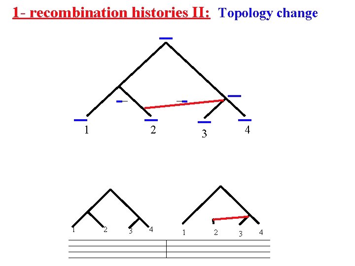 1 - recombination histories II: Topology change 1 1 2 2 3 4 4