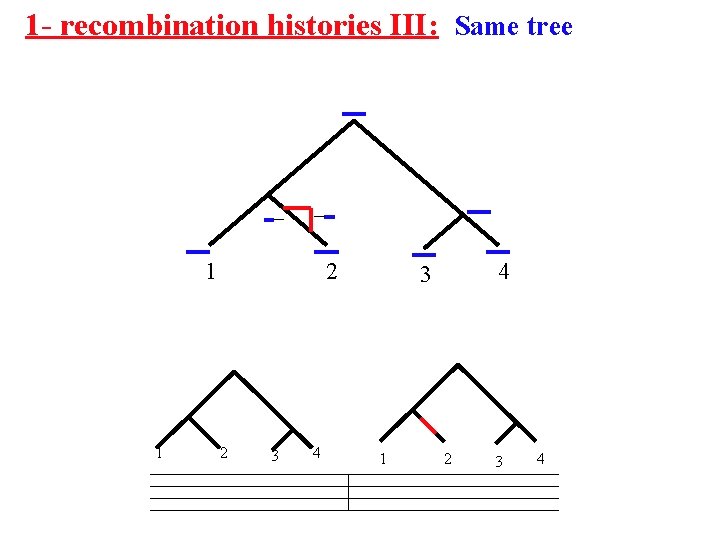 1 - recombination histories III: Same tree 1 1 2 2 3 4 4