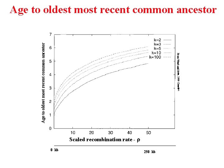 From Wiuf and Hein, 1999 Genetics Age to oldest most recent common ancestor Scaled