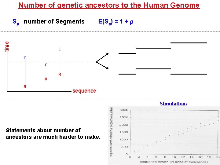 Number of genetic ancestors to the Human Genome time S – number of Segments