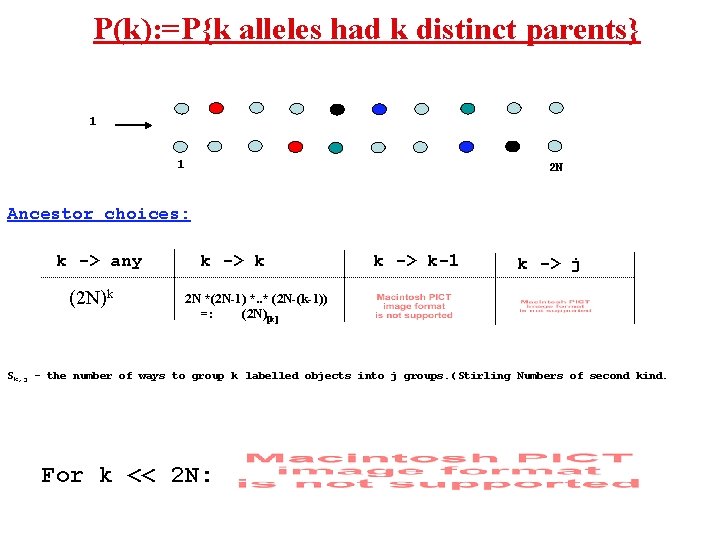 P(k): =P{k alleles had k distinct parents} 1 1 2 N Ancestor choices: k
