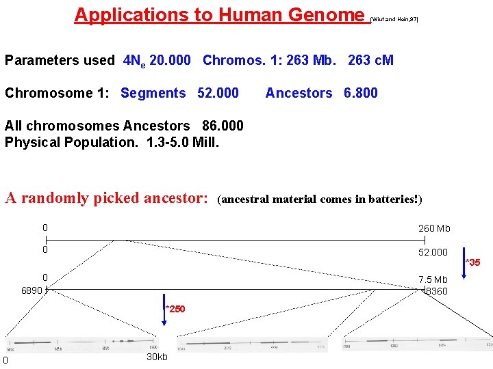 Applications to Human Genome (Wiuf and Hein, 97) Parameters used 4 Ne 20. 000