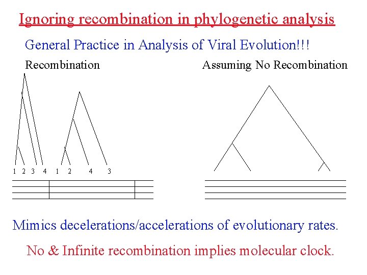 Ignoring recombination in phylogenetic analysis General Practice in Analysis of Viral Evolution!!! Recombination 1