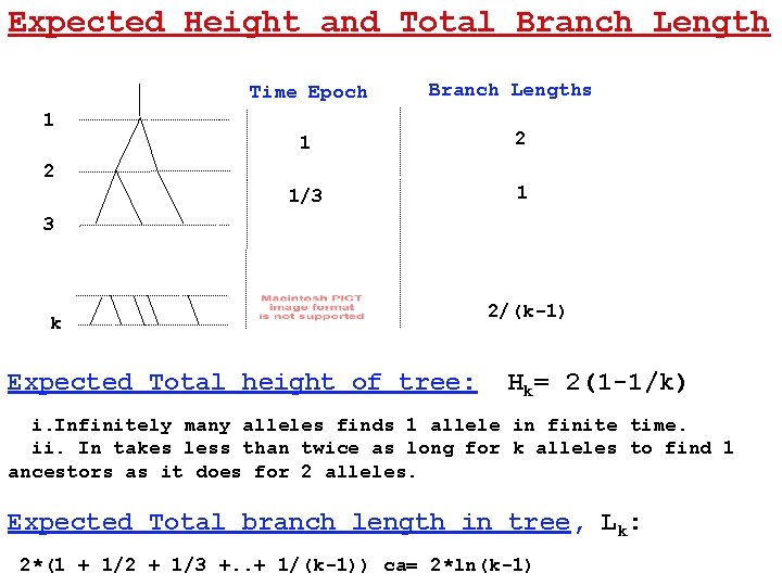 Expected Height and Total Branch Length Time Epoch Branch Lengths 1 1 2 1/3