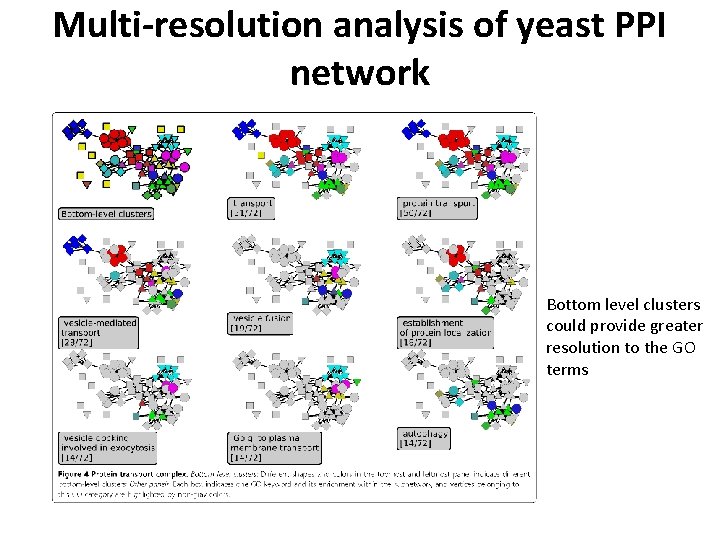 Multi-resolution analysis of yeast PPI network Bottom level clusters could provide greater resolution to