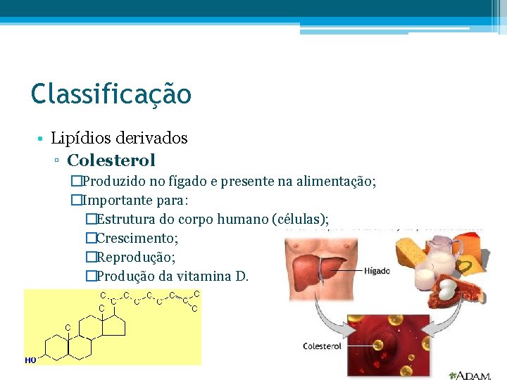 Classificação • Lipídios derivados ▫ Colesterol �Produzido no fígado e presente na alimentação; �Importante