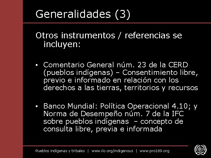 Generalidades (3) Otros instrumentos / referencias se incluyen: • Comentario General núm. 23 de