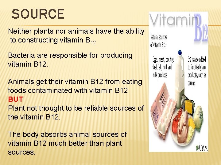 SOURCE Neither plants nor animals have the ability to constructing vitamin B 12 Bacteria