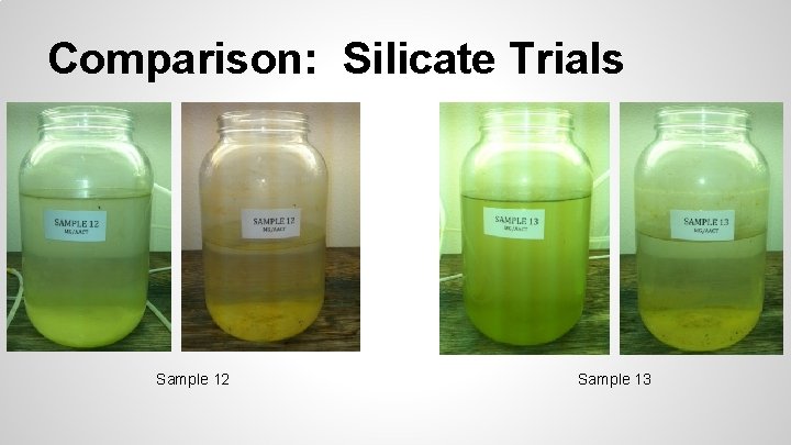 Comparison: Silicate Trials Sample 12 Sample 13 