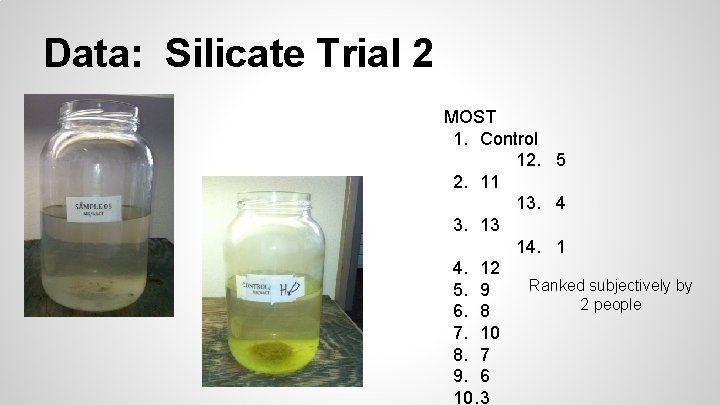 Data: Silicate Trial 2 MOST 1. Control 12. 5 2. 11 13. 4 3.