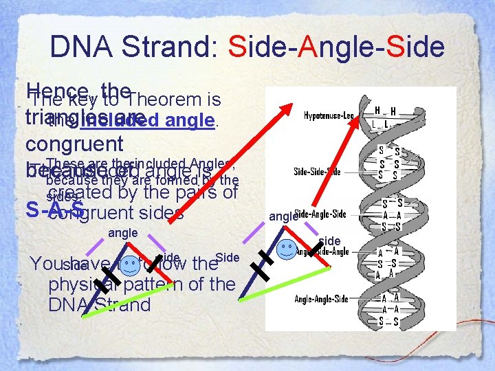 DNA Strand: Side-Angle-Side Hence, The key the to Theorem is triangles are angle. the