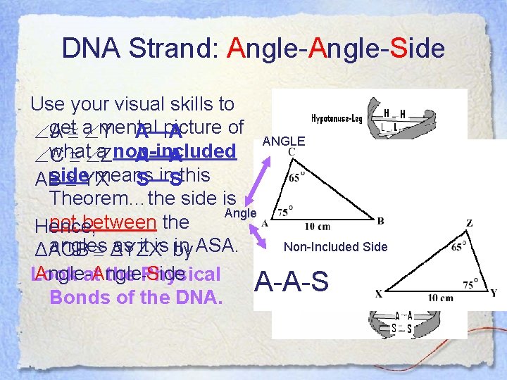 DNA Strand: Angle-Side Use your visual skills to get a Y mental picture of