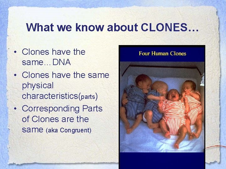 What we know about CLONES… • Clones have the same…DNA • Clones have the