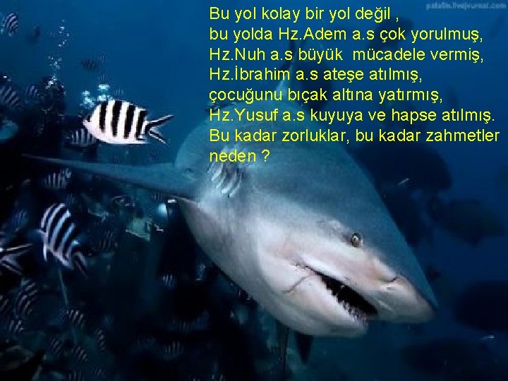 Bu yol kolay bir yol değil , bu yolda Hz. Adem a. s çok