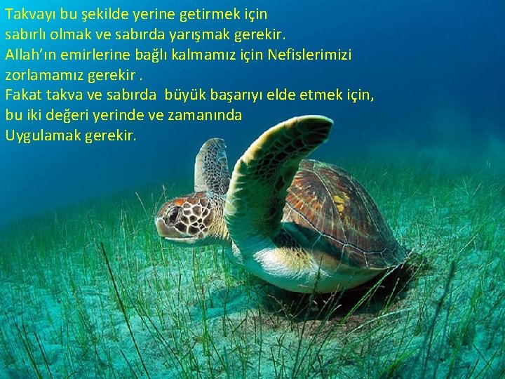 Takvayı bu şekilde yerine getirmek için sabırlı olmak ve sabırda yarışmak gerekir. Allah’ın emirlerine