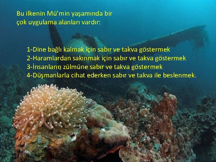 Bu ilkenin Mü’min yaşamında bir çok uygulama alanları vardır: 1 -Dine bağlı kalmak için