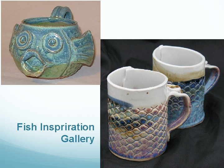 Fish Inspriration Gallery 