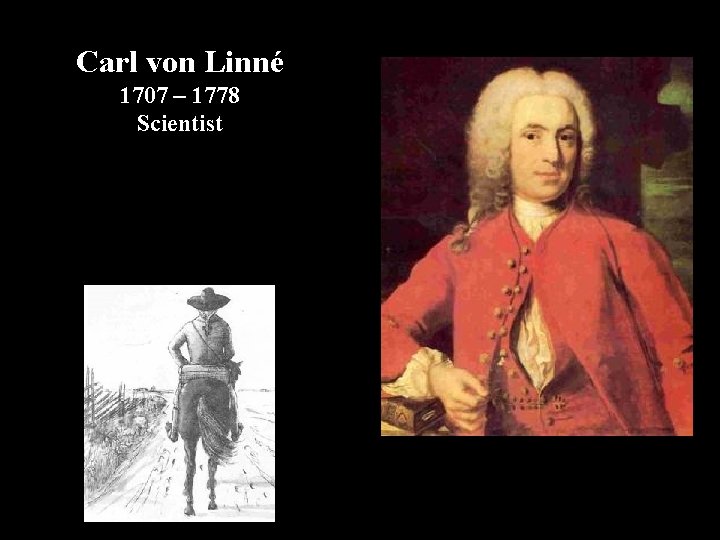 Carl von Linné 1707 – 1778 Scientist 