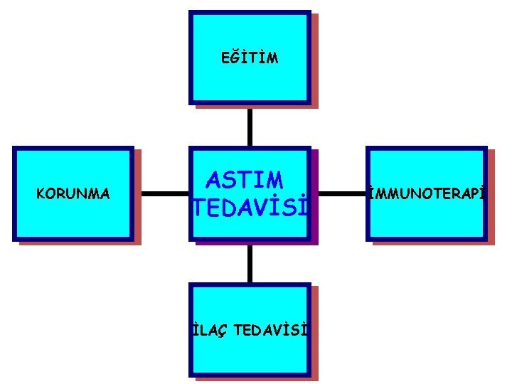 EĞİTİM KORUNMA ASTIM TEDAVİSİ İLAÇ TEDAVİSİ İMMUNOTERAPİ 