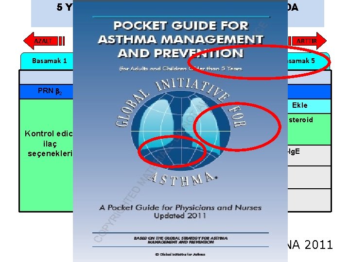 5 YAŞ ÜSTÜ ÇOCUKLARVE ADÖLESANLARDA TEDAVİ BASAMAKLARI AZALT Basamak 1 ARTTIR Basamak 2 Basamak