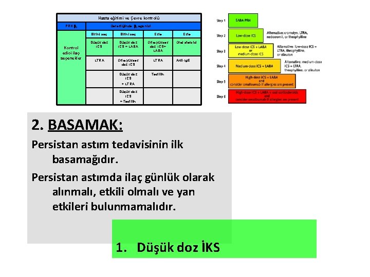 Hasta eğitimi ve Çevre kontrolü PRN 2 Kontrol edici ilaç seçenekler Gerektiğinde 2 agonist