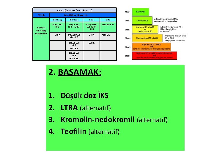 Hasta eğitimi ve Çevre kontrolü PRN 2 Kontrol edici ilaç seçenekler i Gerektiğinde 2