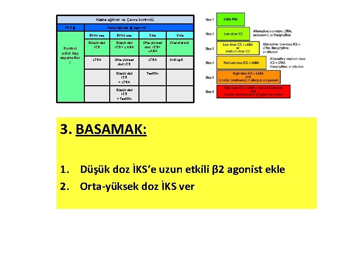 Hasta eğitimi ve Çevre kontrolü PRN 2 Kontrol edici ilaç seçenekler i Gerektiğinde 2