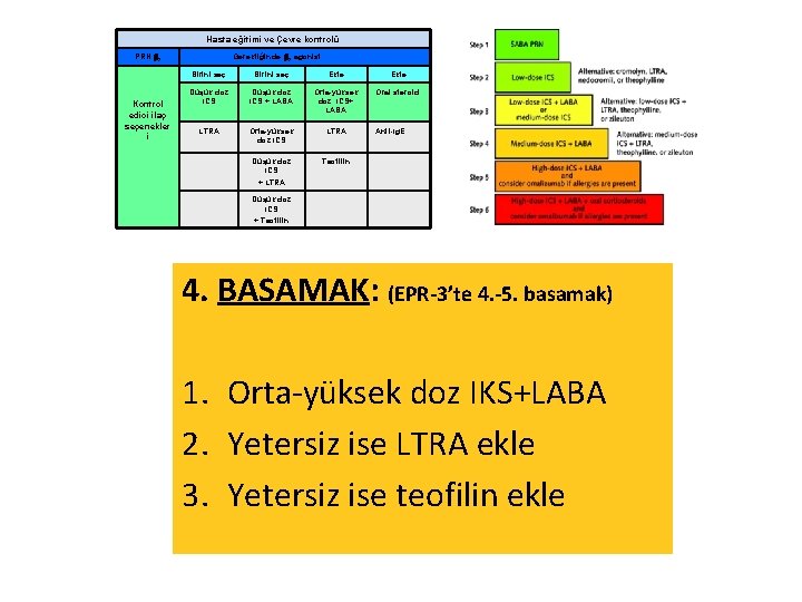 Hasta eğitimi ve Çevre kontrolü PRN 2 Kontrol edici ilaç seçenekler i Gerektiğinde 2