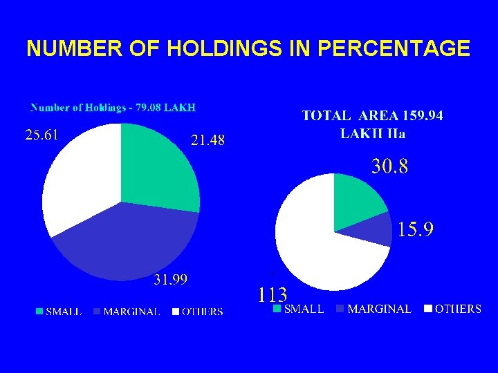 NUMBER OF HOLDINGS IN PERCENTAGE 