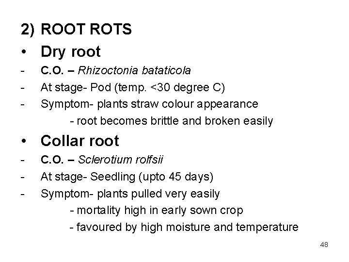 2) ROOT ROTS • Dry root - C. O. – Rhizoctonia bataticola At stage-