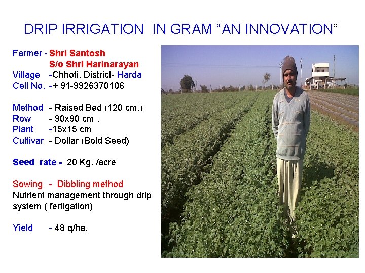 DRIP IRRIGATION IN GRAM “AN INNOVATION” Farmer - Shri Santosh S/o Shr. I Harinarayan