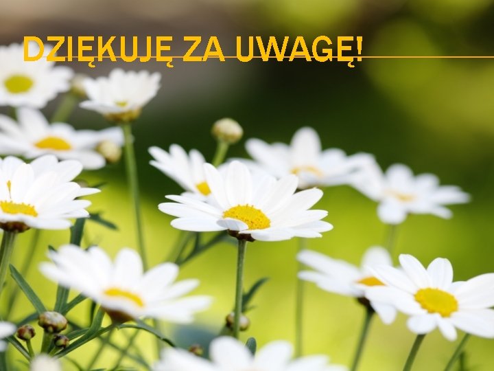 DZIĘKUJĘ ZA UWAGĘ! 