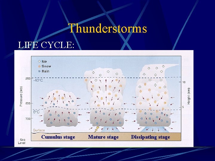 Thunderstorms LIFE CYCLE: Cumulus stage Mature stage Dissipating stage 